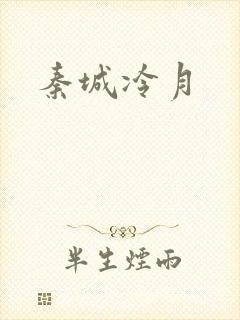秦城冷月封面