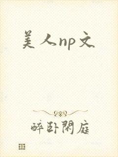 美人np文