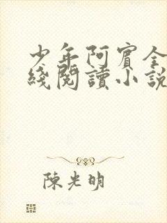 少年阿宾全文在线阅读小说封面