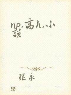 np,高h,小说