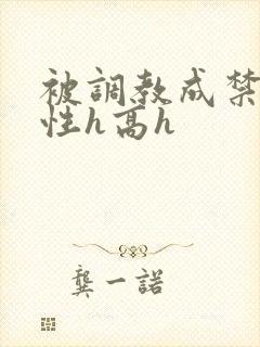 被调教成禁脔双性h高h封面