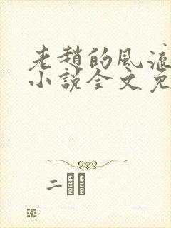 老赵的风流人生小说全文免费阅读