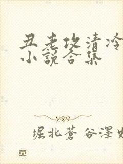 丑老攻清冷美人小说合集