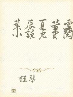 叶辰夏若雪孙怡小说免费阅读封面