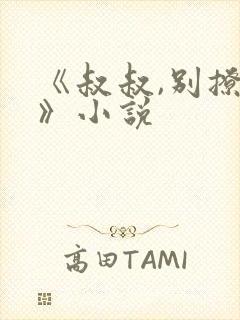 《叔叔,别撩我》小说