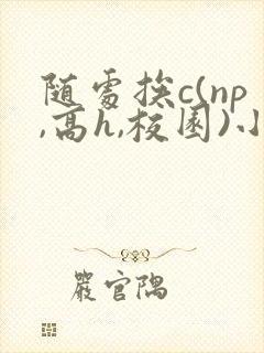 随处挨c(np,高h,校园)小说