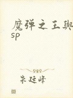 魔弹之王与战姬sp