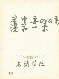 蜜中妻ova动漫第一季