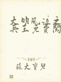 大明风流之铁血兵王免费阅读