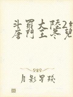 斗罗大陆2绝世唐门王冬儿的身份