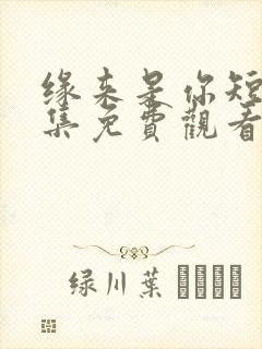 缘来是你短剧全集免费观看高清封面