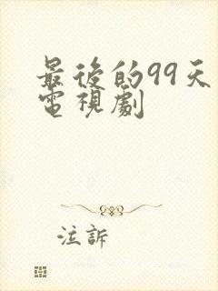 最后的99天 电视剧