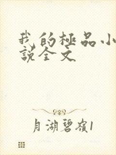 我的极品小姨小说全文封面