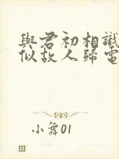 与君初相识·恰似故人归电视剧免费看封面