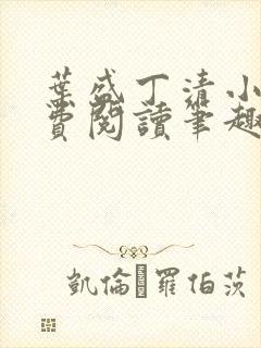 叶盛丁清小说免费阅读笔趣阁封面