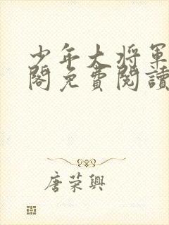 少年大将军笔趣阁免费阅读封面