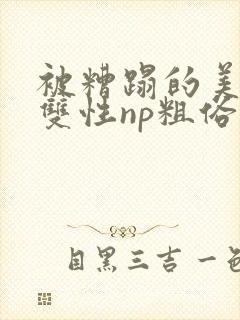 被糟蹋的美人(双性np粗俗)