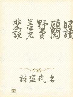 裴羡野顾昭宁小说免费阅读最新章节