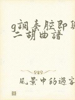 g调秦腔即兴曲二胡曲谱封面