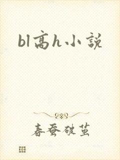 bl高h小说