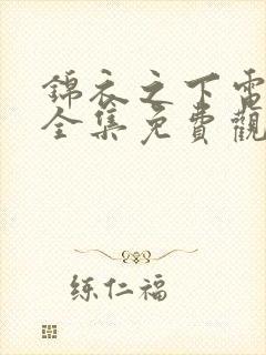 锦衣之下电视剧全集免费观看高清