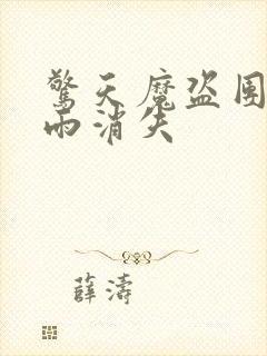 惊天魔盗团2躺雨消失