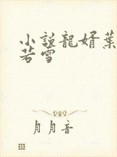 小说龙婿叶凡唐若雪封面