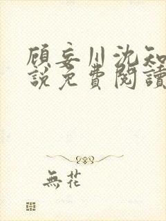 顾妄川沈知意小说免费阅读最新章节