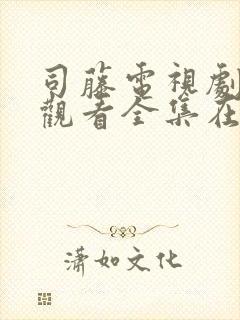 司藤电视剧免费观看全集在线观看