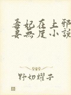 毒妃在上邪王宠妻无度小说