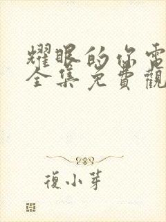 耀眼的你电视剧全集免费观看高清封面