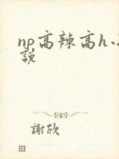 np高辣高h小说