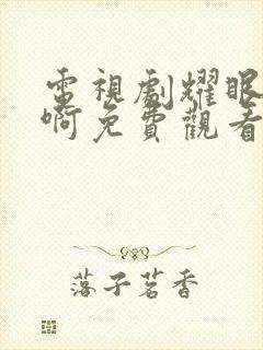 电视剧耀眼的你啊免费观看全集完整版封面