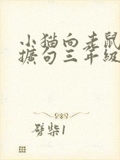 小猫向老鼠扑去扩句三年级