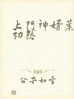 上门神婿叶辰萧初然封面