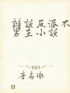 谁说反派不能当男主小说