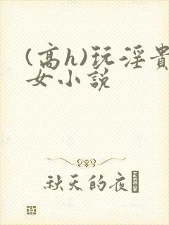 (高h)玩淫贵女小说