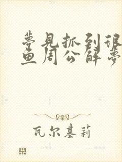 梦见抓到很多大鱼周公解梦封面