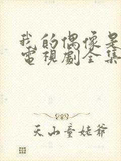 我的偶像是继父电视剧全集免费观看