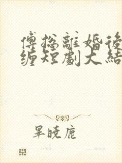 傅总离婚后别纠缠短剧大结局