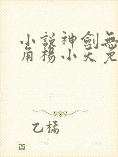 小说神剑无敌主角杨小天免费阅读