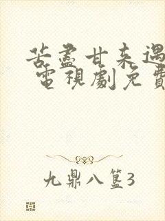 苦尽甘来遇见你 电视剧免费观看