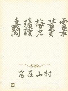 妻殇梅若雪全文阅读免费最新章节更封面