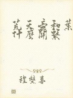 荒天帝和叶天帝什么关系