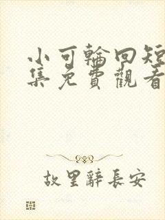 小可轮回短剧全集免费观看