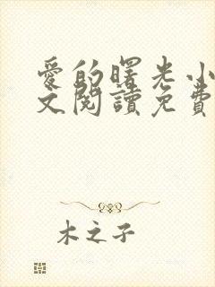 爱的曙光小说全文阅读免费无弹窗