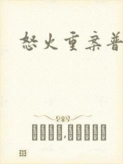 怒火重案普通话封面