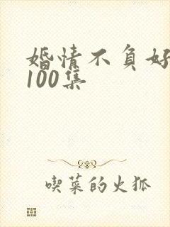 婚情不负好短剧100集封面