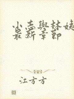 小志与林姨小说最新章节封面