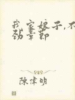 我家娘子,不对劲章节